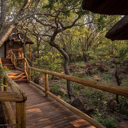 Tshwene Lodge Vaalwater Ngoại thất bức ảnh
