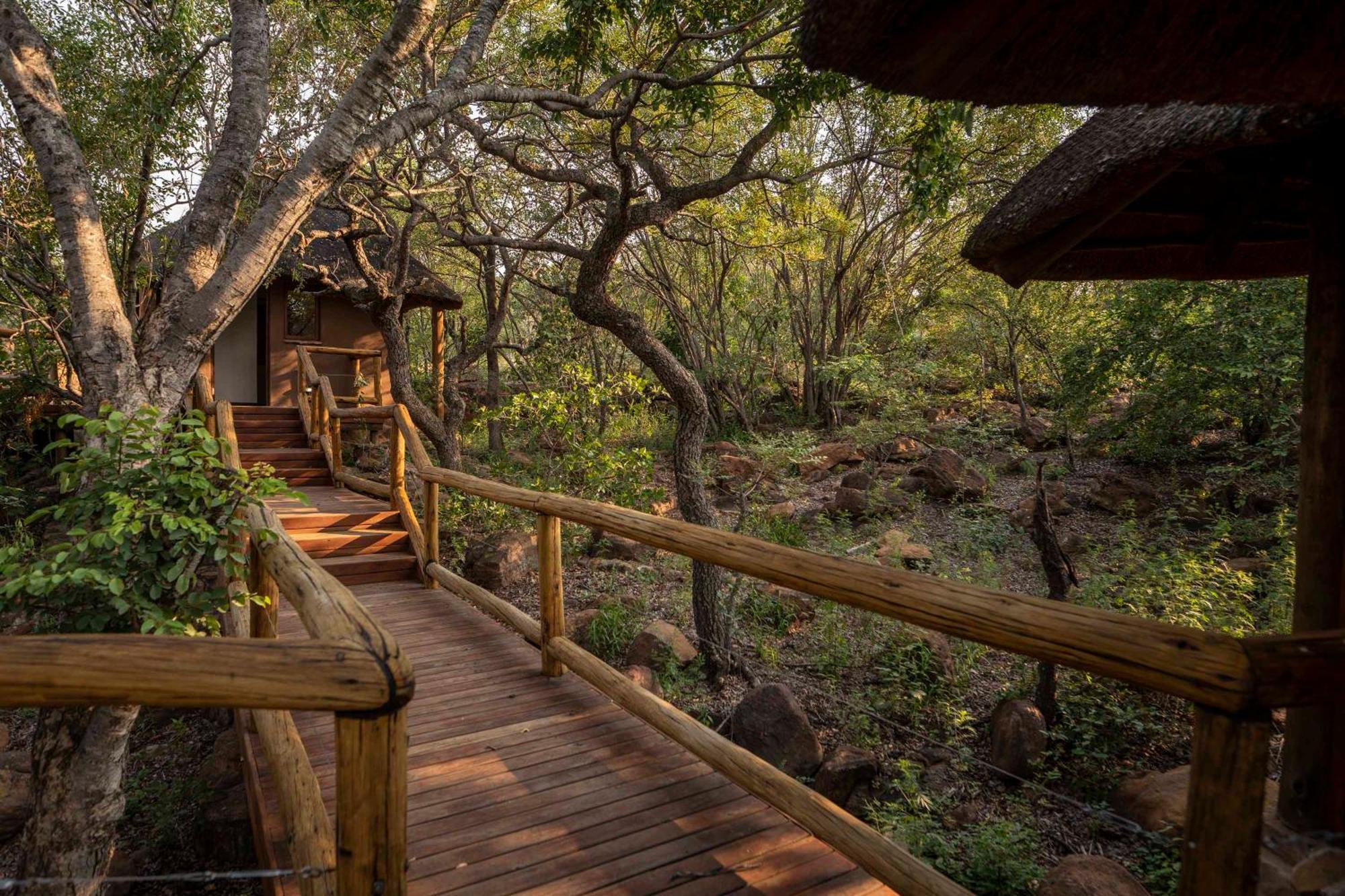 Tshwene Lodge Vaalwater Ngoại thất bức ảnh