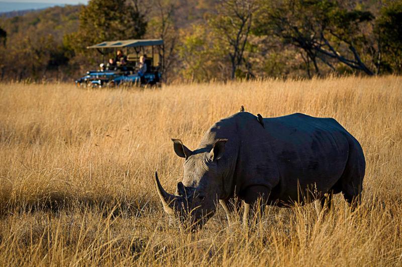 Tshwene Lodge Vaalwater Ngoại thất bức ảnh