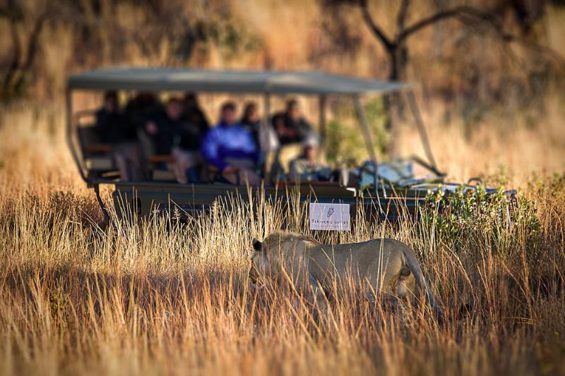 Tshwene Lodge Vaalwater Ngoại thất bức ảnh